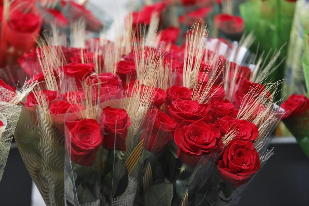 Diada de Sant Jordi 2019 a Girona.