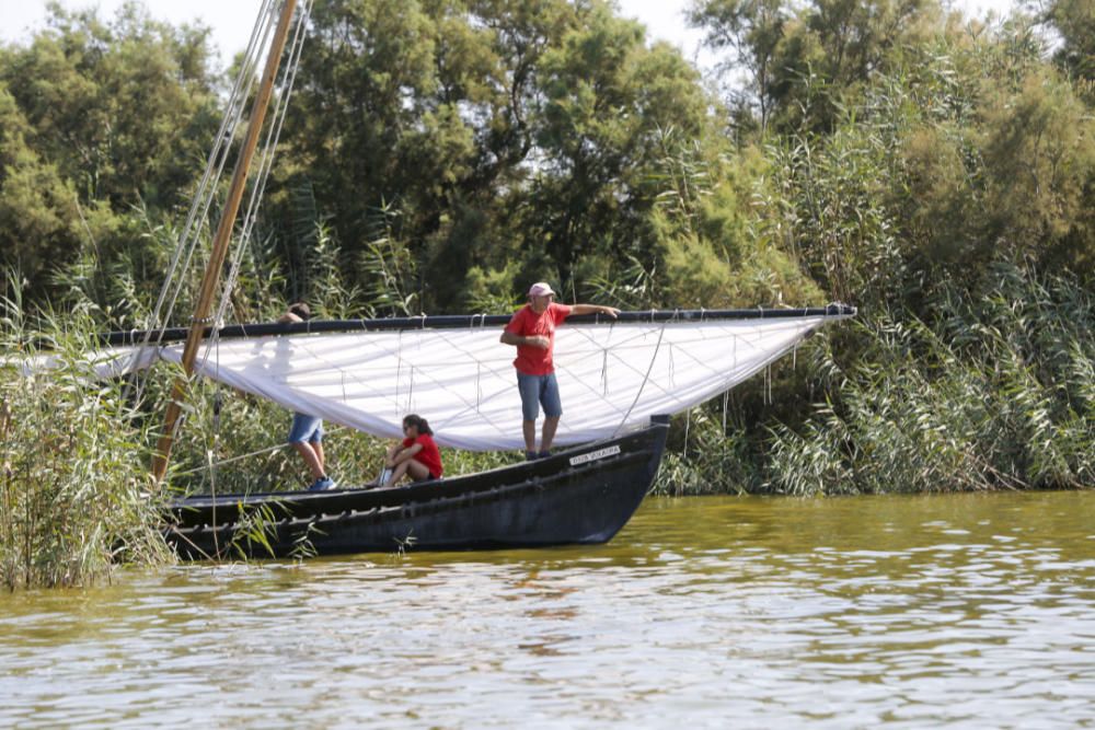 Regata-exhibición de vela latina en l'Albufera