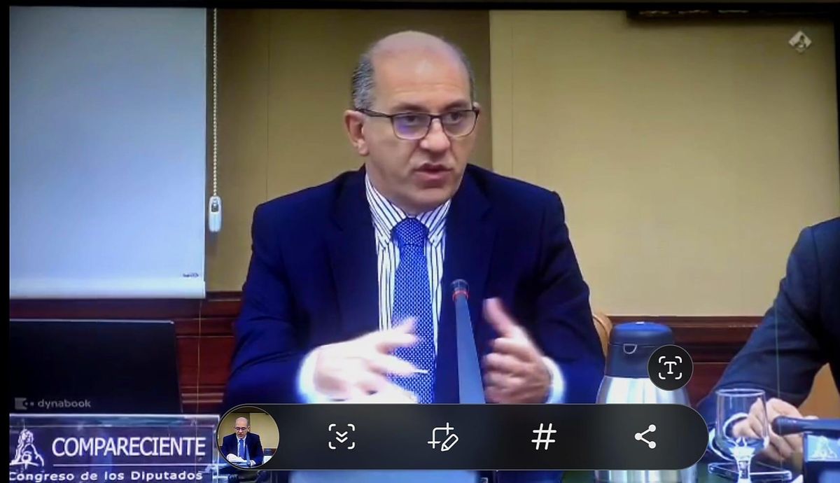 Comparecencia de Hernández en la pantalla de un ordenador del Congreso de los Diputados.