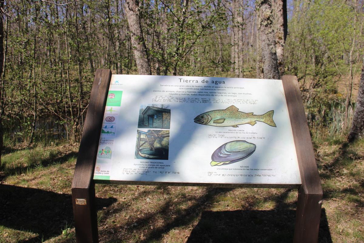 GALERÍA | Escolares de Sanabria descubren el proyecto “Lake trek" GALERÍA | Escolares de Sanabria descubren el proyecto “Lake trek"