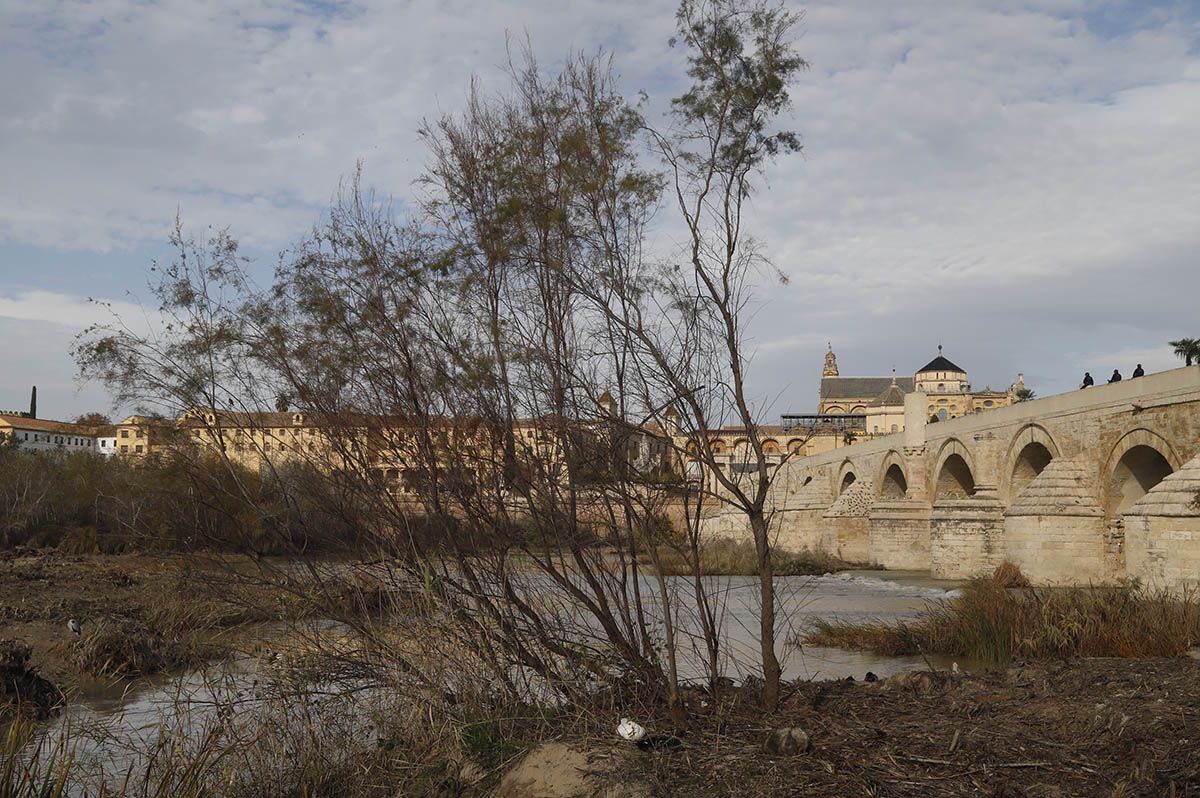 En imágenes el estado de la limpieza de los Sotos de la Albolafia