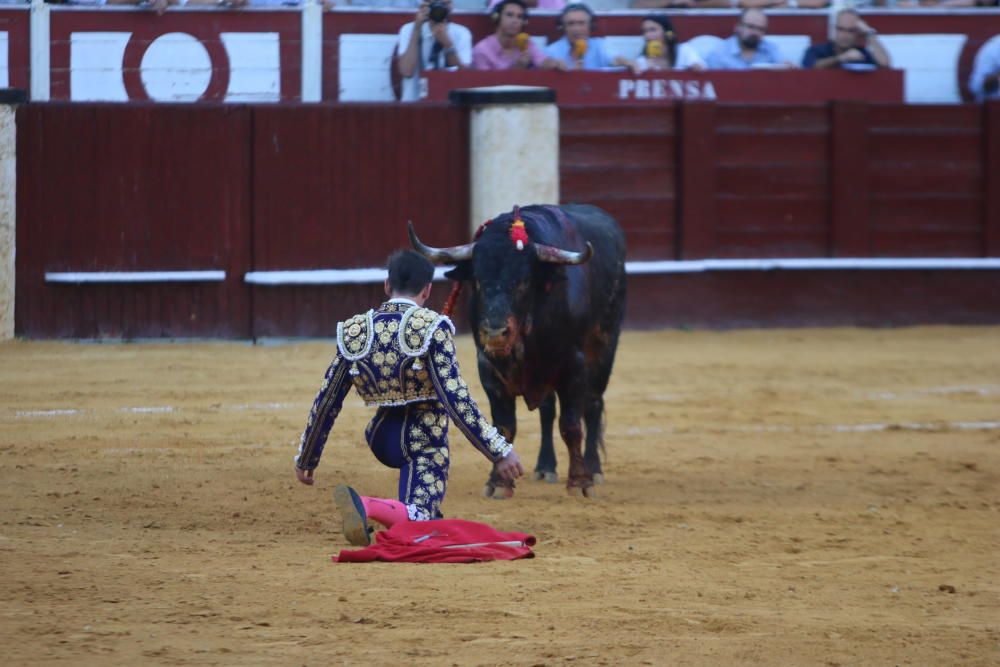 Toros | Novillada de la Feria Taurina de 2018