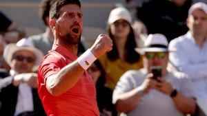 Djokovic sobrevive al asalto de Davidovich