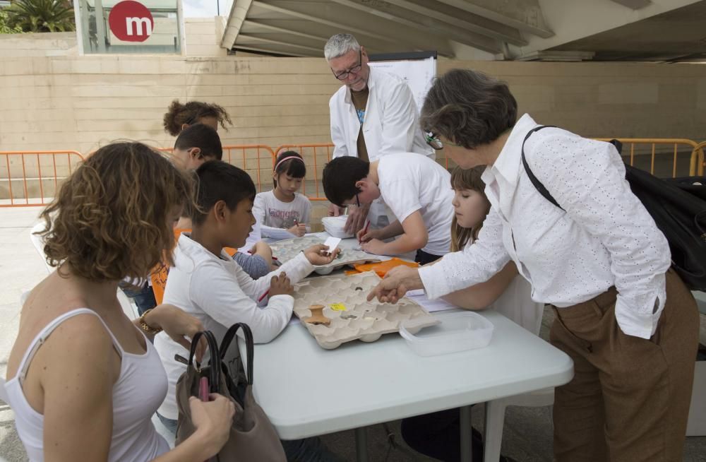 Primavera educativa en Valencia