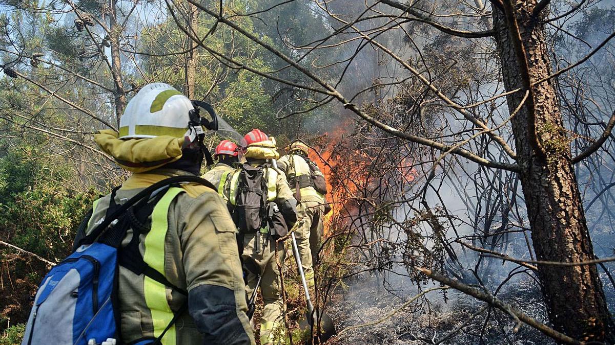 Actuación de la brigada forestal en el monte de Xiabre. |  // NOÉ PARGA