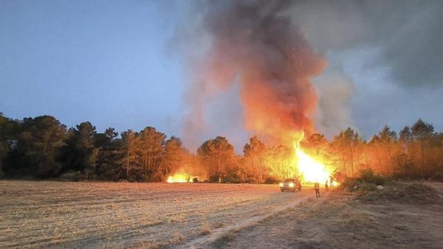 Una imatge de l’incendi declarat diumenge i estabilitzat dilluns a Aiguamúrcia.