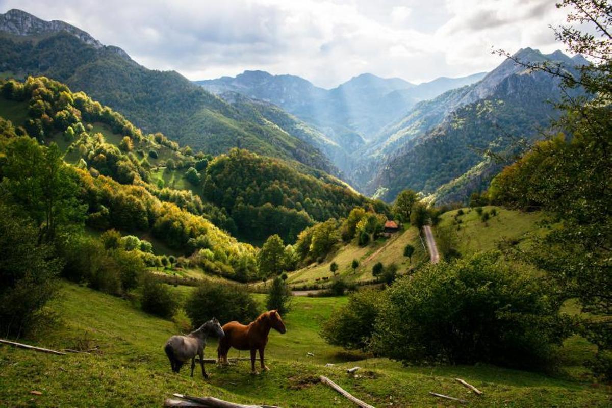 Caso, bosques, cumbres y sabor rural