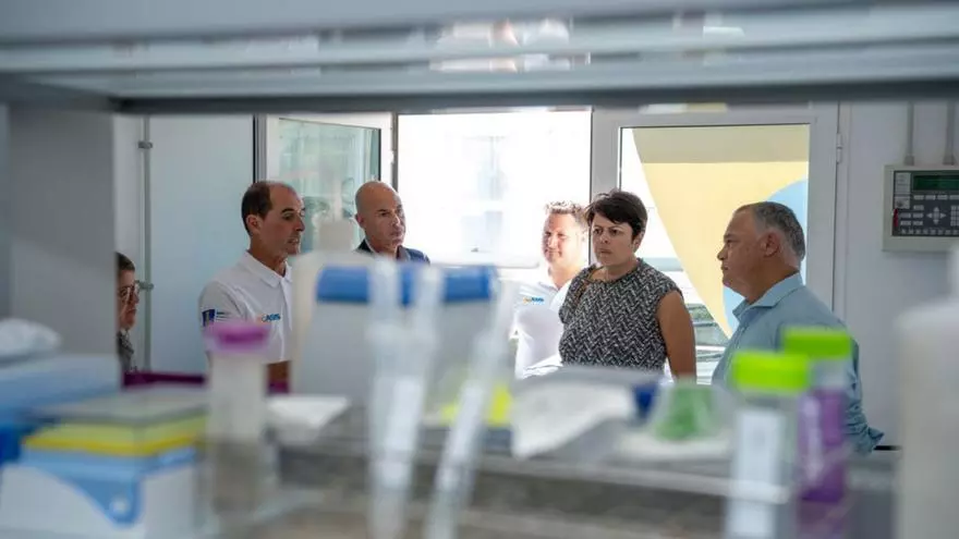 En el centro, Gonzalo Piernavieja y Minerva Alonso este martes en el ITC. / LP/DLP