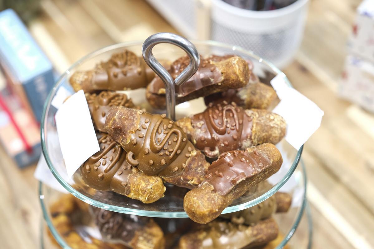 Coolpaws, tienda de animales gourmet