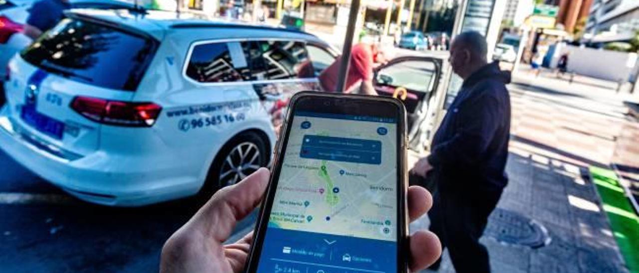 Un usuario con la «app» para reservar trayectos o pedir taxis en Benidorm.