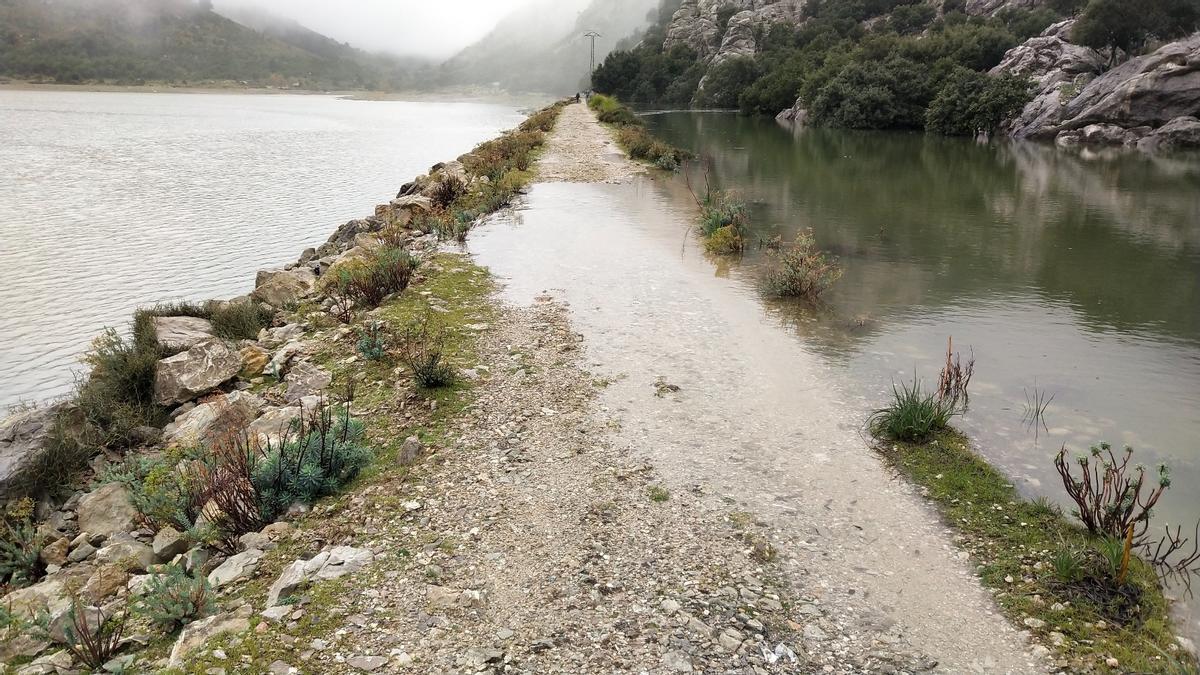 Gut gefüllt: die Stauseen auf Mallorca.