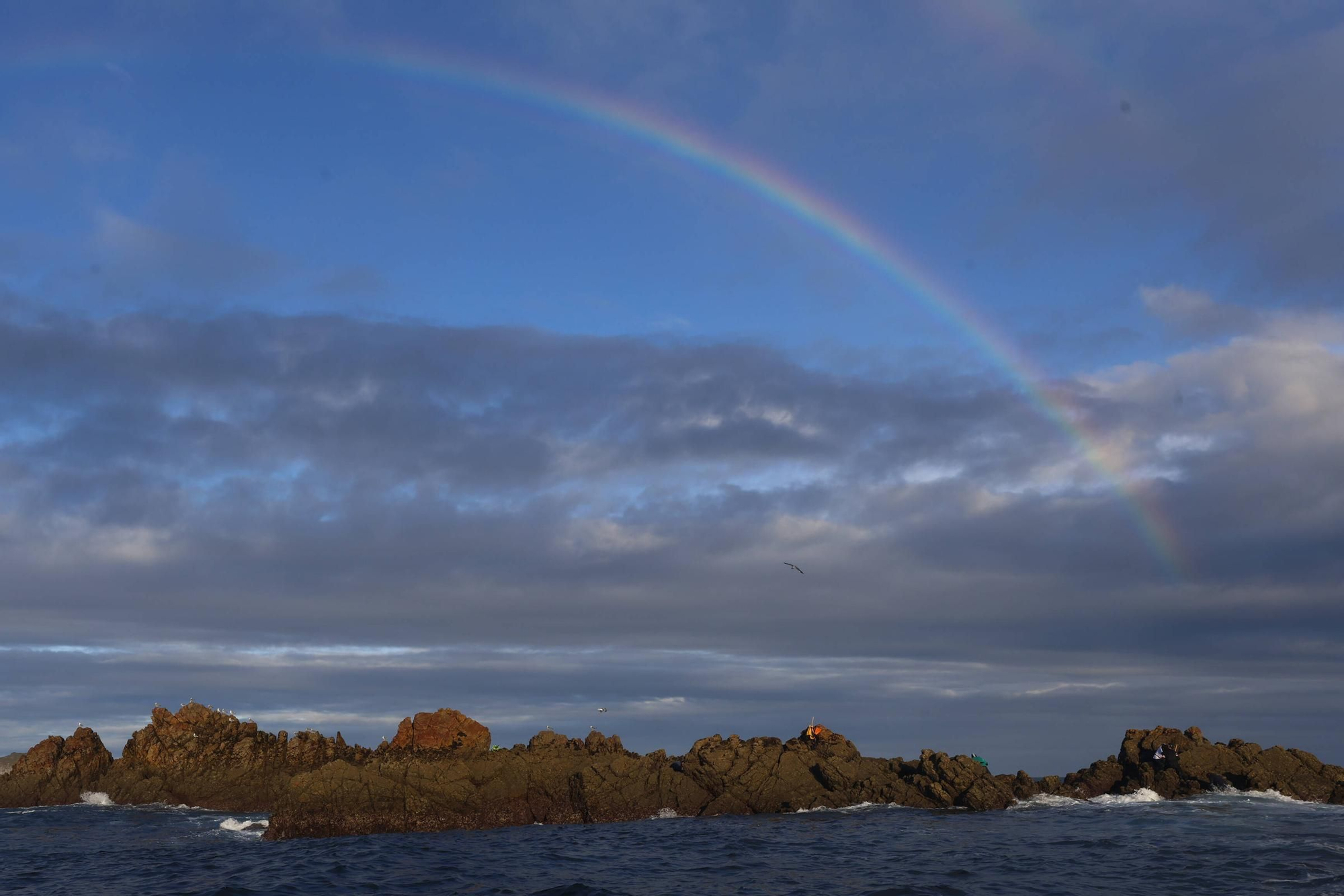 EN IMÁGENES: Así es la dura jornada de los perceberos del cabo Peñas: un oficio de alto riesgo a merced de las olas