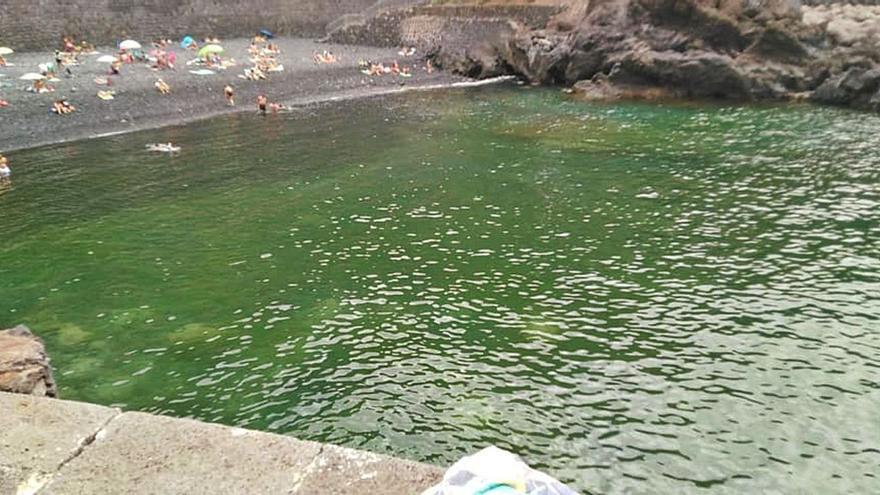 El agua de la playa del muelle de Garachico tenía un color verdoso el pasado sábado 28 de agosto.