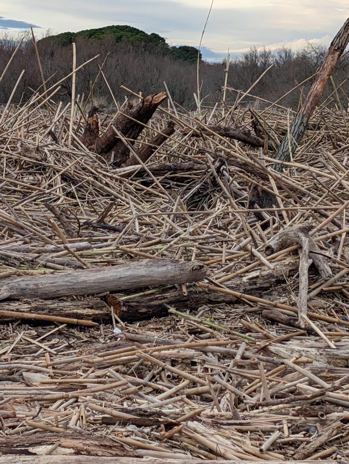 Danys a Torroella de Montgrí pel temporal Harry