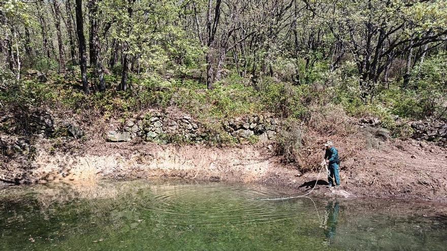 Galería | Así van las batidas para encontrar al desaparecido en Jarandilla de la Vera
