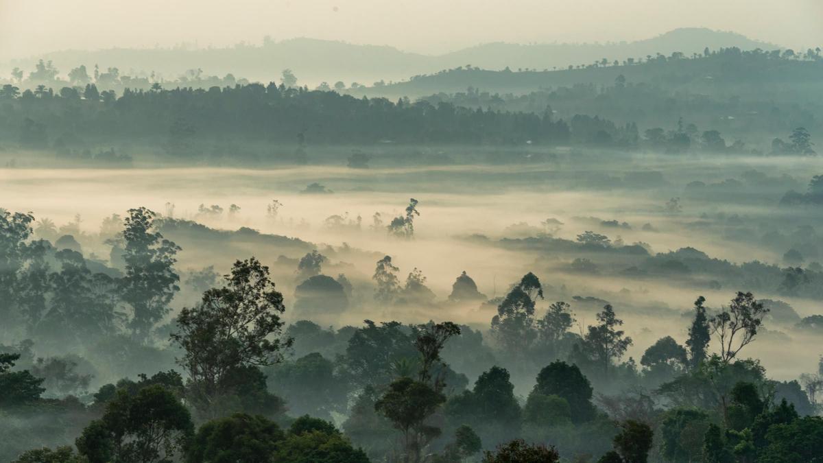 Camerún, África