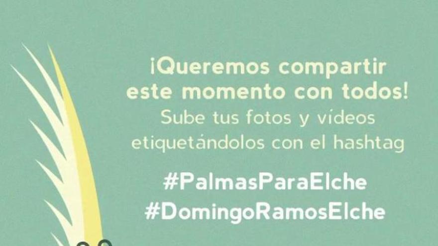 Pasos para disfrutar del Domingo de Ramos en Elche