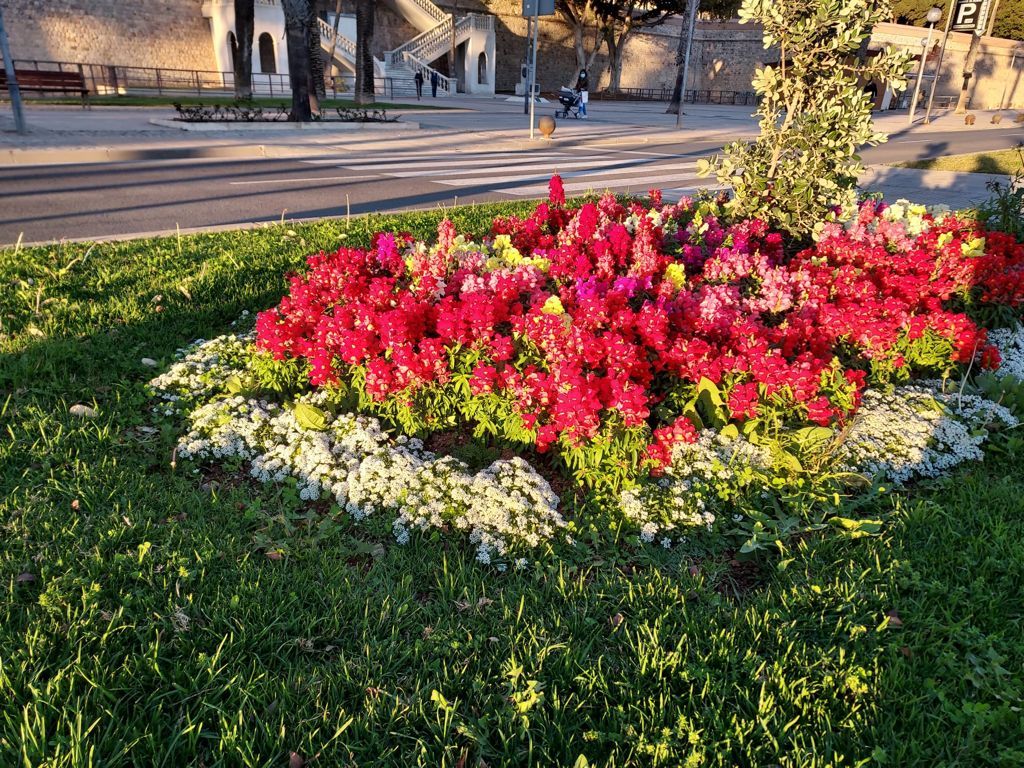 Cartagena decora sus rotondas con corazones de San Valentín