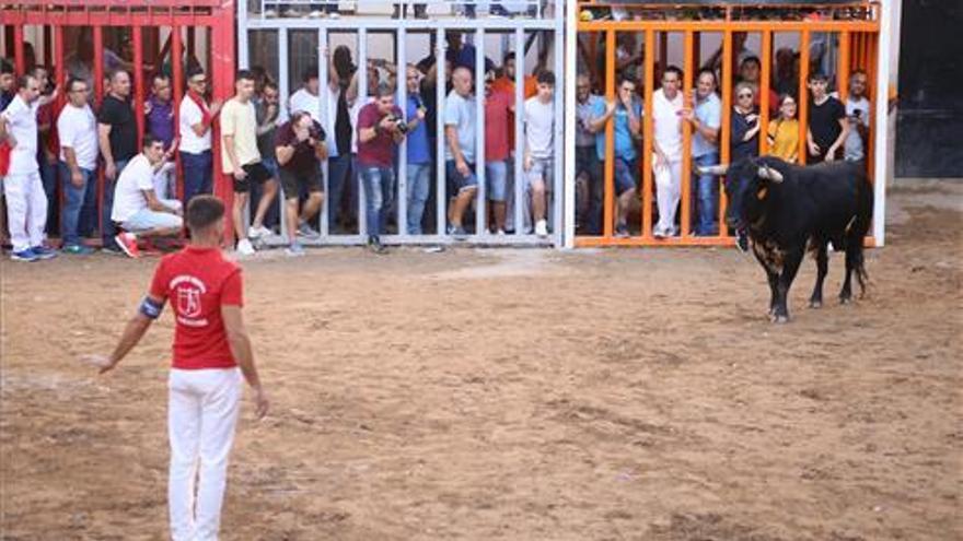 Castellón cierra una temporada marcada por toros de mayor calidad