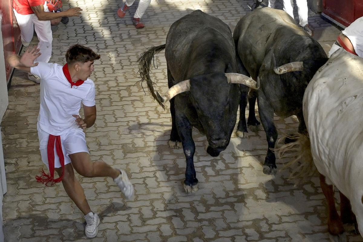 Los toros de José Escolar protagonizan un veloz y atropellado quinto encierro de los Sanfermines.