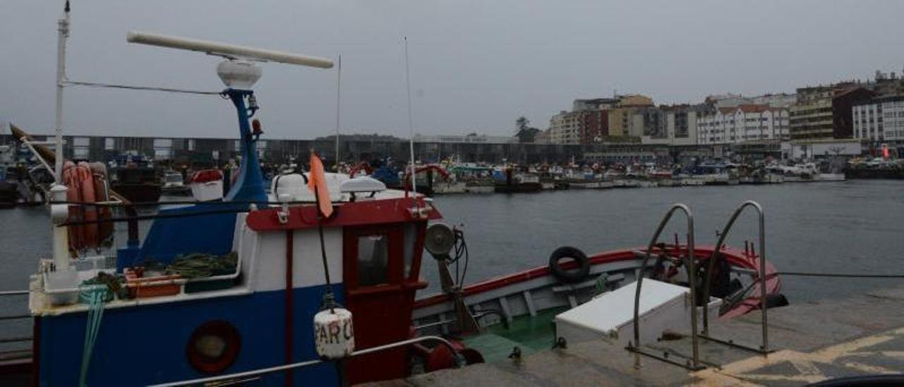 Los barcos de bajura amarrados en el pantalán de pesca de Cangas. |  GONZALO NÚÑEZ