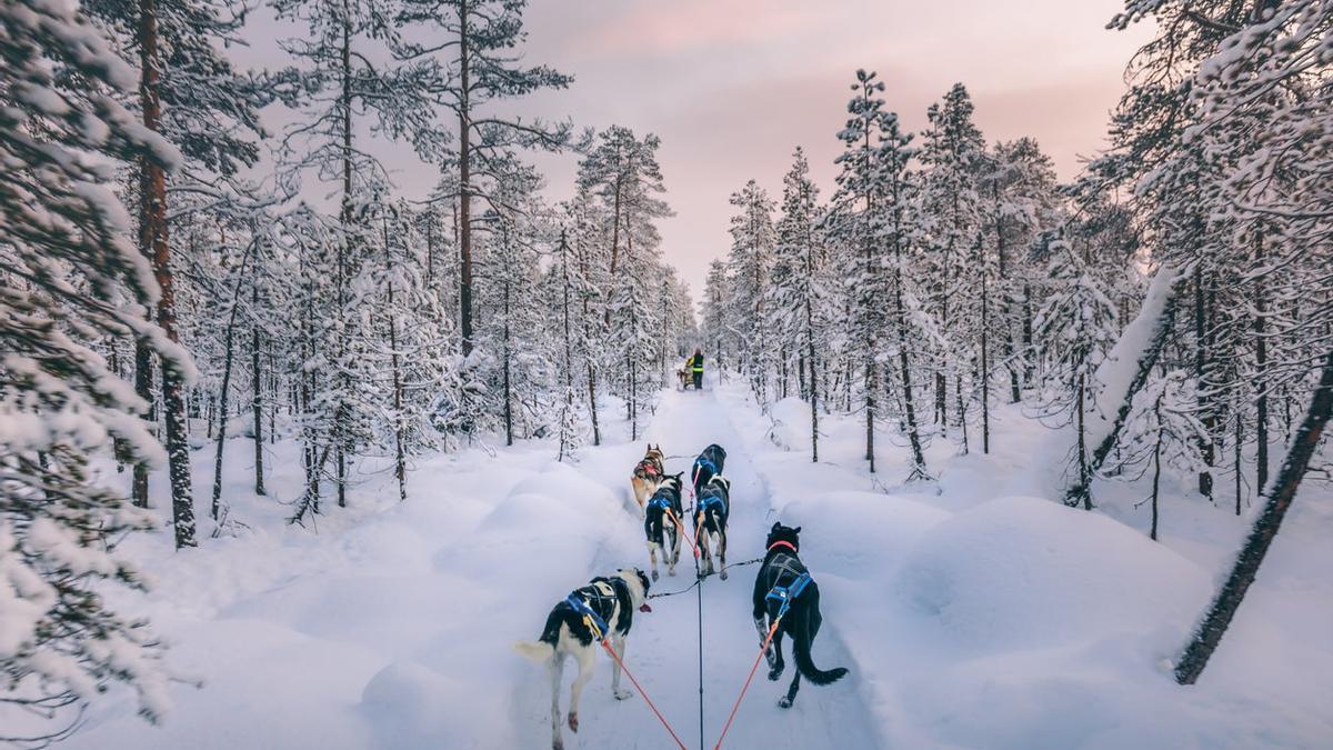 Laponia finlandesa, aventura en territorio sami