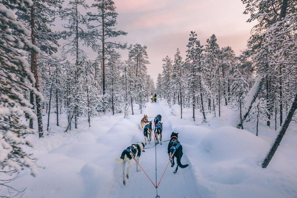 Laponia finlandesa