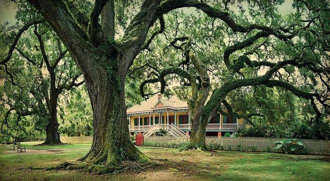 Laura Plantation, Luisiana, Belén Montalvo