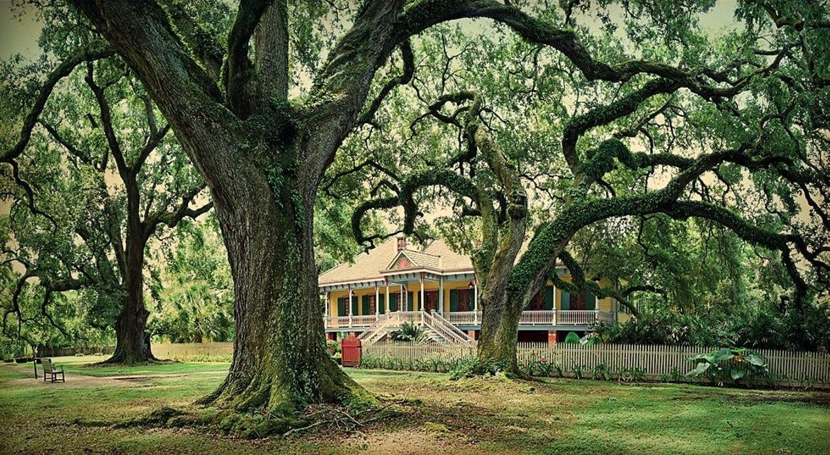 Laura Plantation, Luisiana, Belén Montalvo