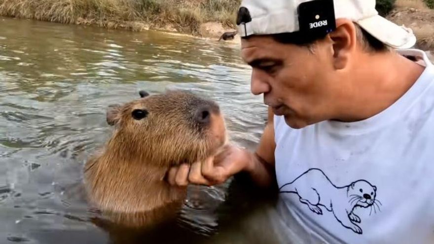 Esta es la disparatada propuesta de un &#039;influencer&#039; de Murcia a Frank Cuesta para rescatar su santuario