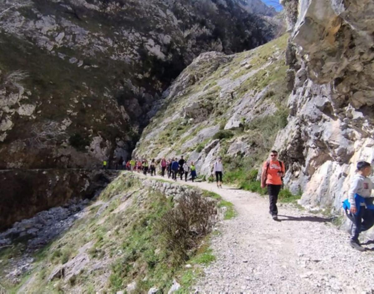 Los senderistas en uno de los tramos de la ruta por el Cares. | CDMB