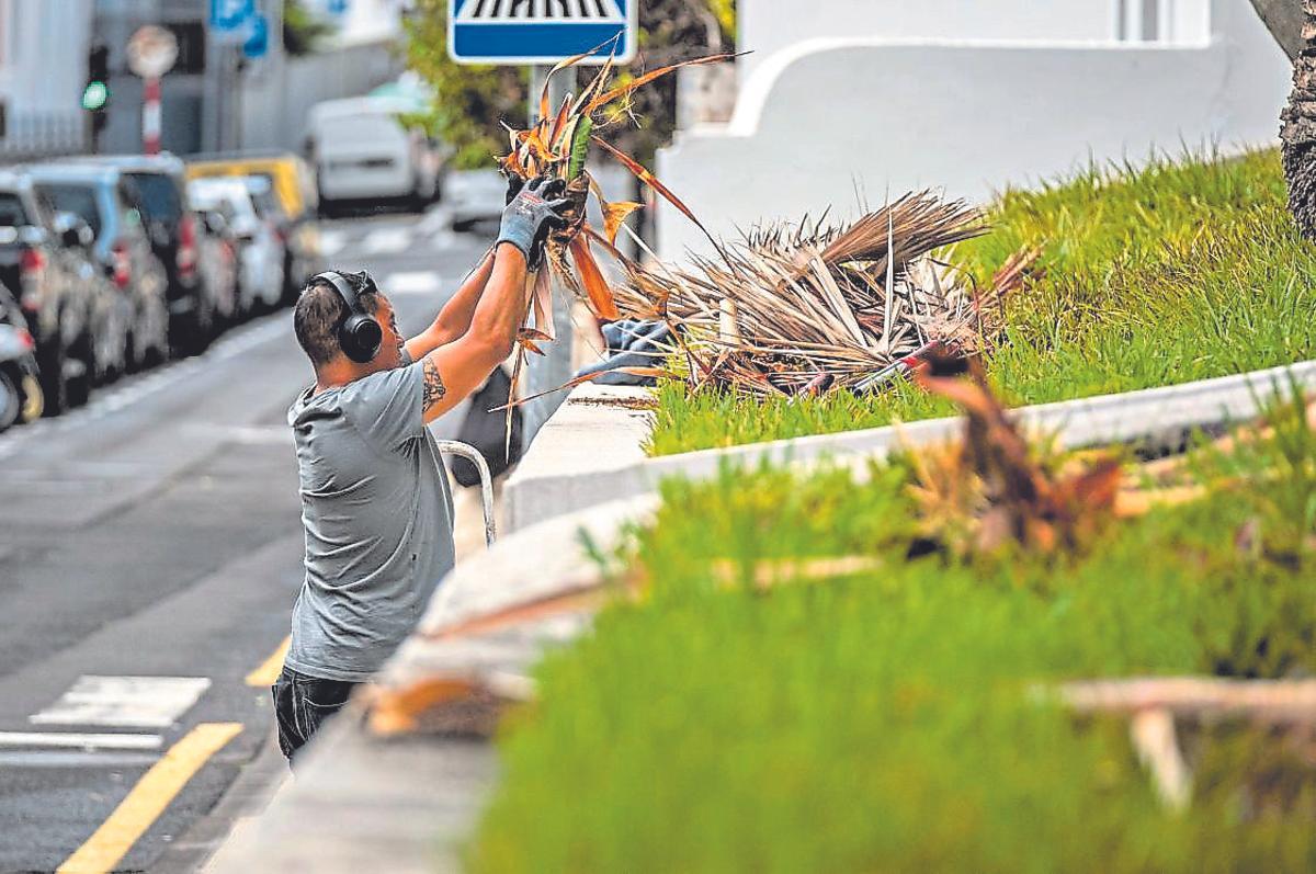 Una persona limpiando las zonas ajardinadas de Las Mimosas.
