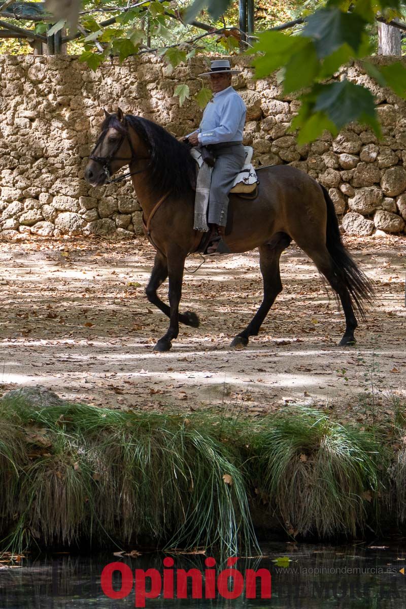 Romería del Bando de los Caballos del Vino