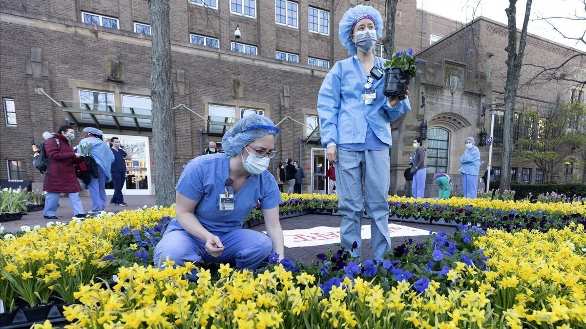 Personal médico escoge flores entre todas las que han donado floristas locales, en un hospital de Boston, Estados Unidos.
