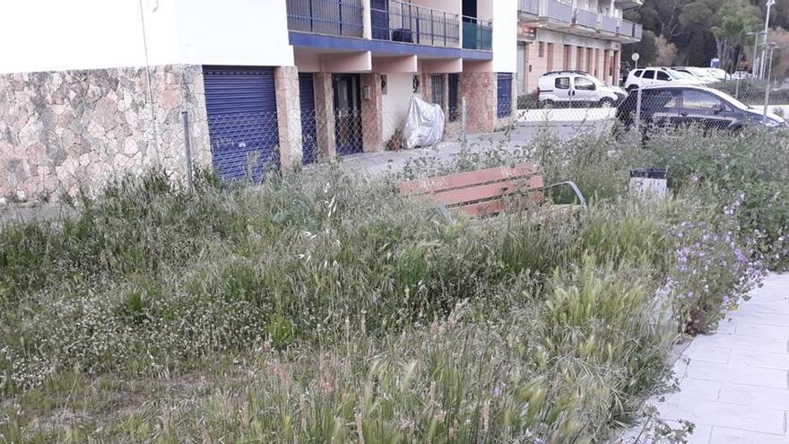 Alguns bancs de fusta públics han quedat coberts de males herbes