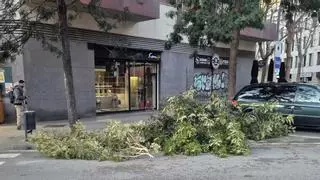Los efectos del vendaval en Barcelona