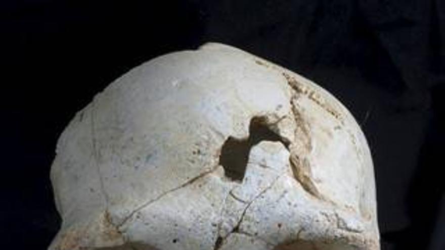 El primer asesinato demostrado de la historia tiene 430.000 años