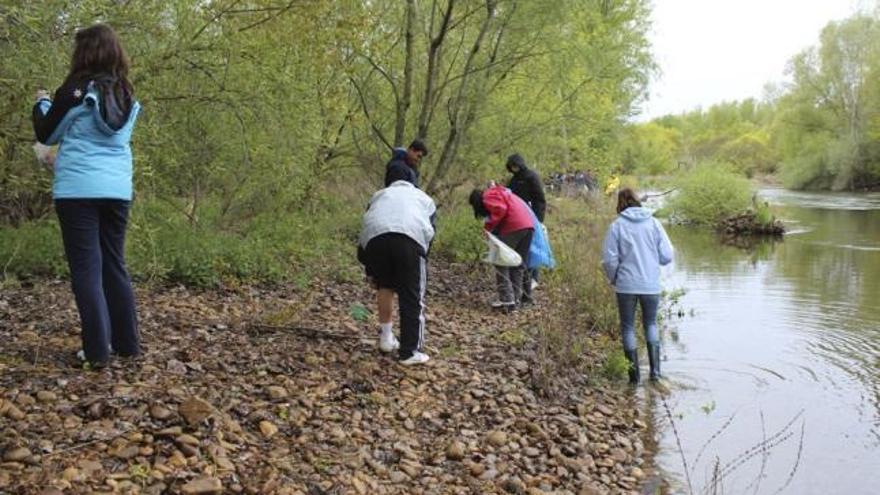 Los macroinvertebrados capturados fueron depositados en cubetas.