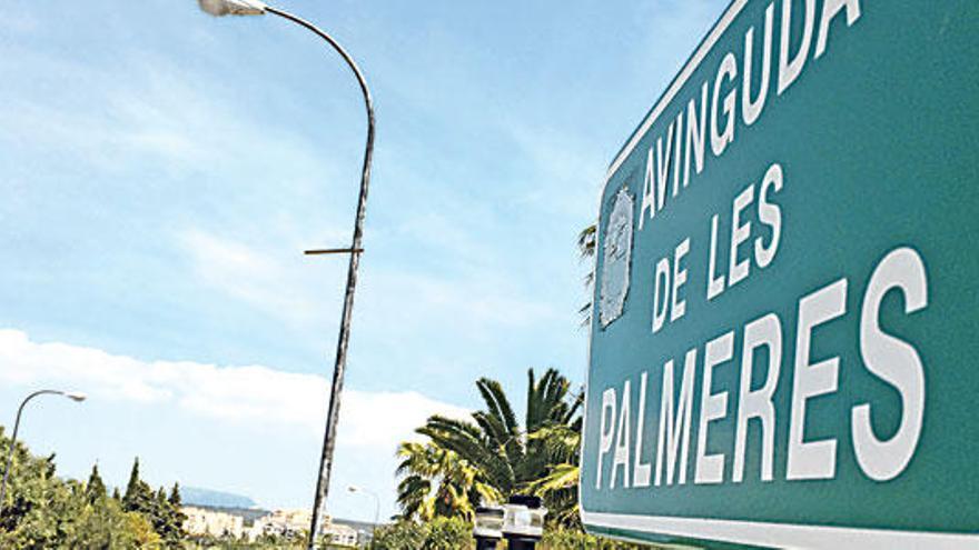 Avinguda de les Palmeres, en la urbanización del mismo nombre.