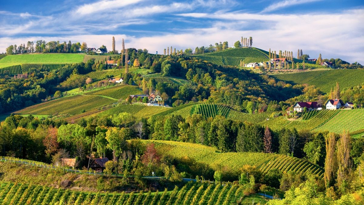 Paisaje de la Ruta del Vino del Sur de Estiria