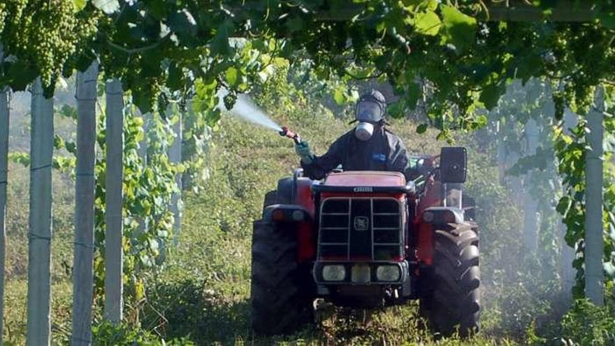 Un viticultor aplica un tratamiento a un viñedo. // Iñaki Abella