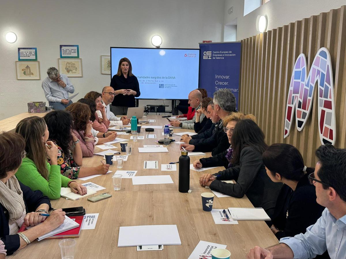 Formación ofrecida por el Centro Europeo de Empresas e Innovación.