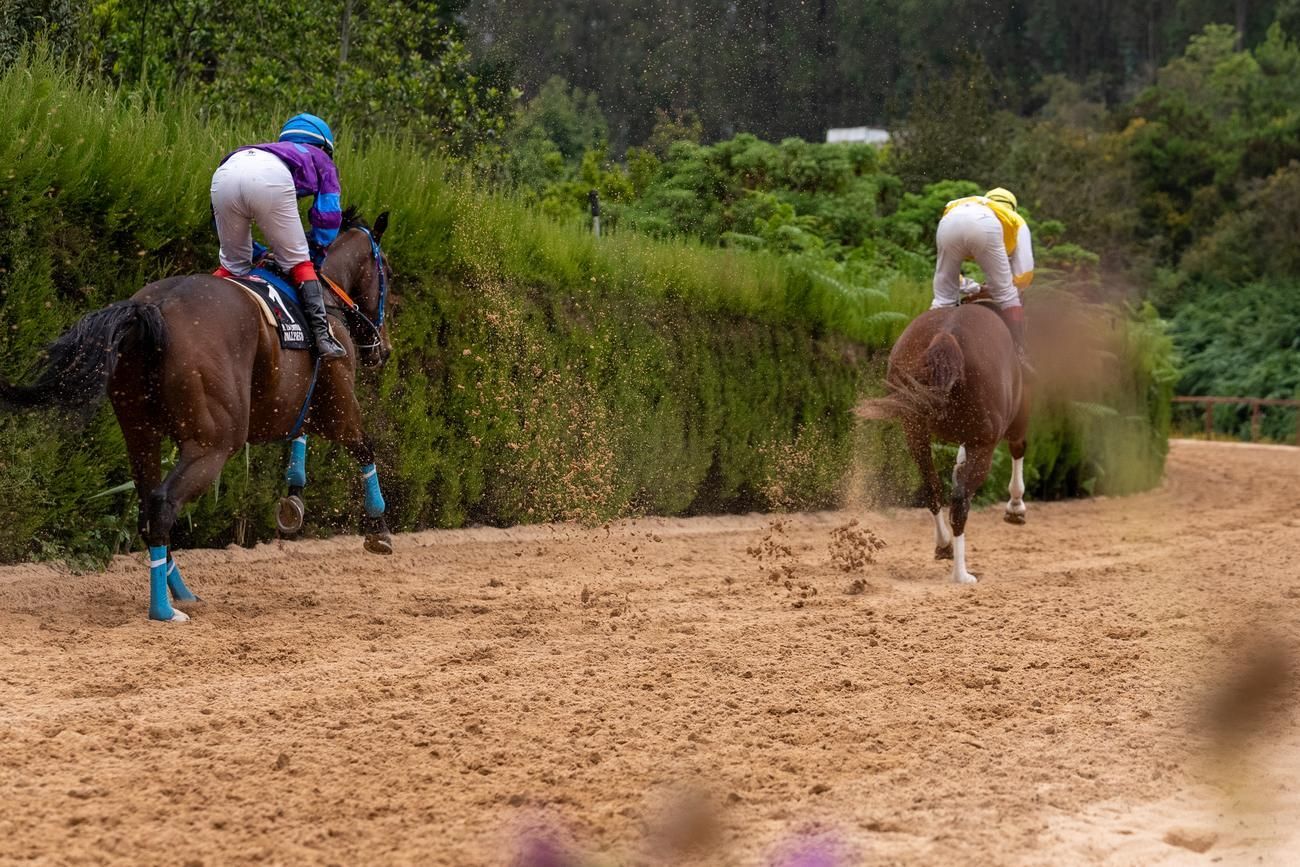 Carrera de caballos III Copa San Vicente Ferrer en Valleseco