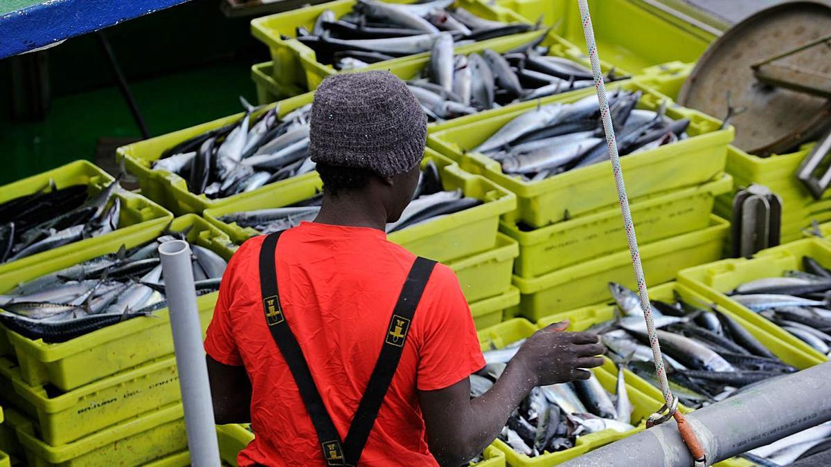 Un barco del cantábrico lleno de caballa durante la campaña. | @EKOGARAPENA