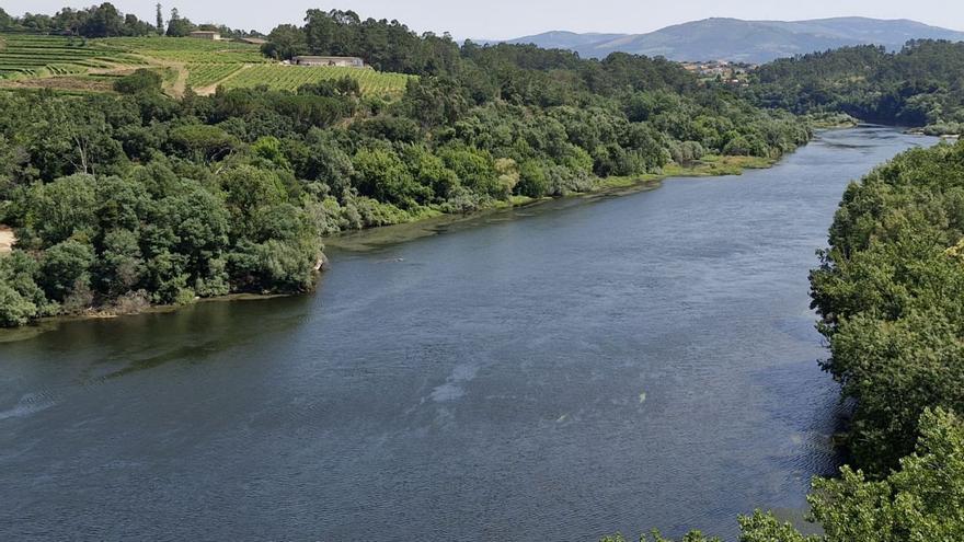 La Agrupación «Río Minho» impulsa medidas de regeneración del Miño
