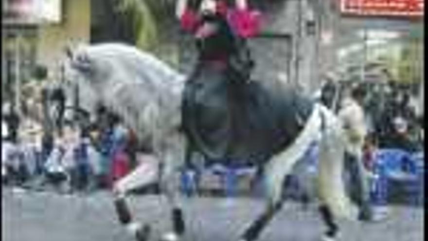 Una festera 

cristiana a caballo durante la Entrada celebrada ayer en San Vicente