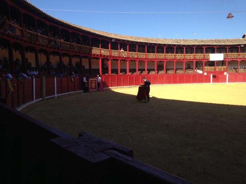 Fiestas en Toro | Becerrada de las peñas