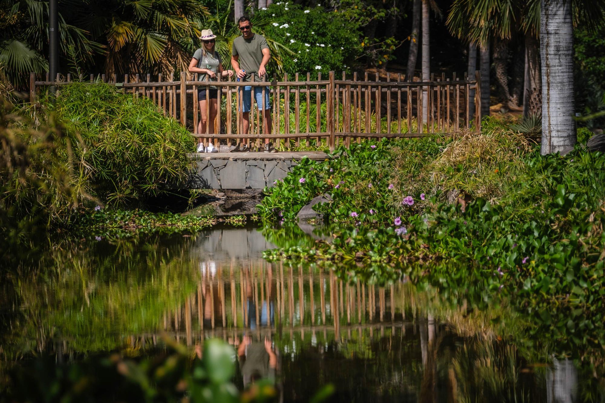 Nuevas inversiones para el Palmetun y el Parque Marítimo de Santa Cruz