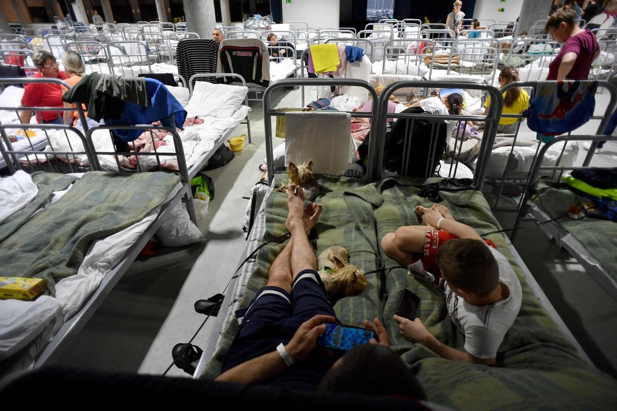 Evacuados de la ciudad de Shebekino, en un refugio temporal instalado en el Belgorod Arena de la capital regional de Belgorod. Evacuados de la ciudad de Shebekino, en un refugio temporal instalado en el Belgorod Arena de la capital regional de Belgorod.