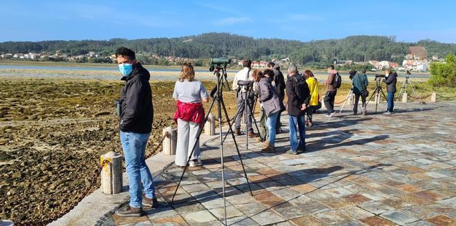 Día de las Aves en O Grove